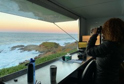 A Southwest Fisheries Science Center researcher scans for gray whales during a survey as part of the long-term population monitoring research. (NOAA Fisheries photo)