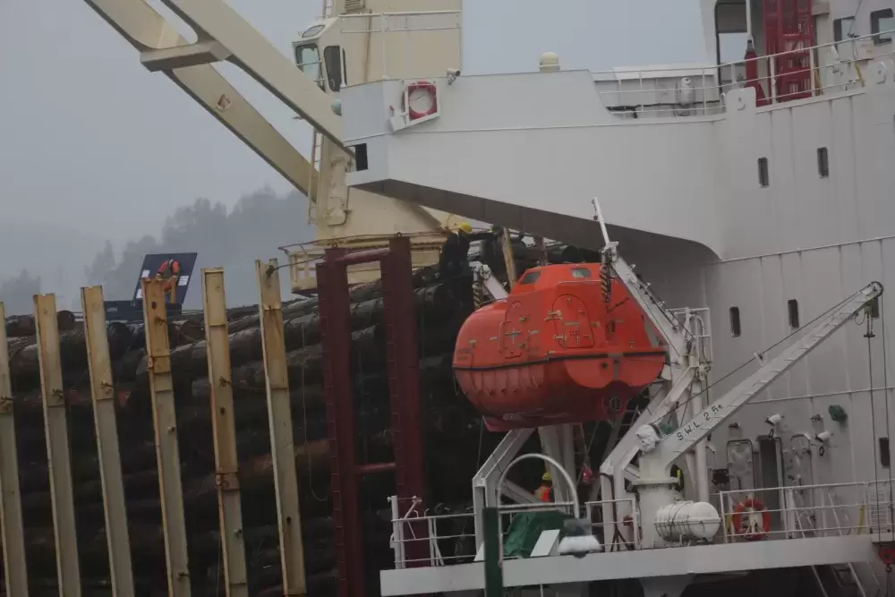 Logs await export overseas at Port Alberni's harbour. (Eric Plummer photo)