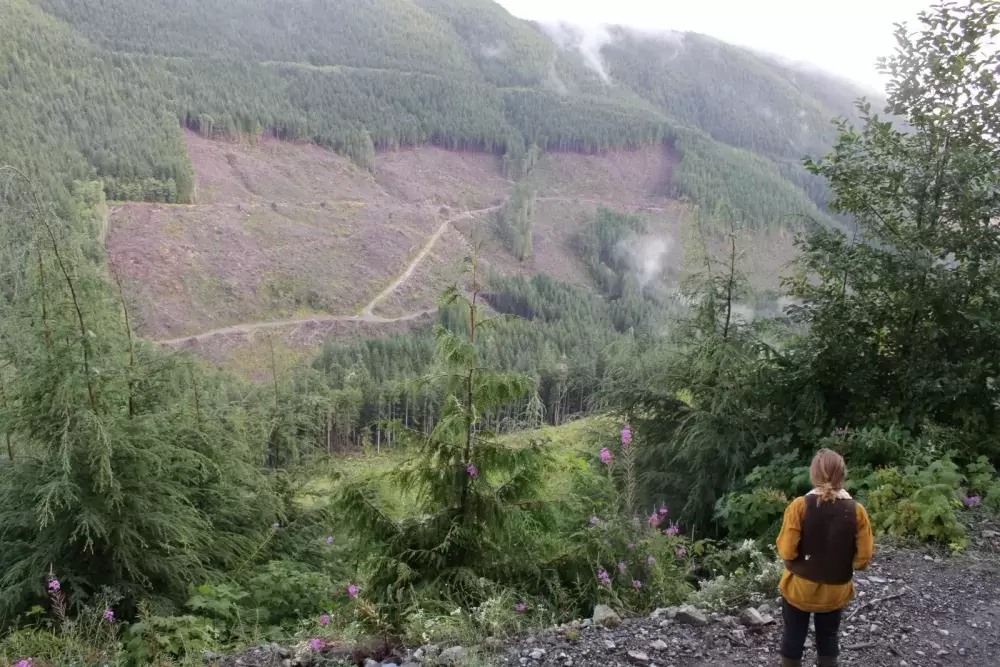 Clearcuts can be seen just outside the Fairie Creek watershed near Port Renfrew, BC. (Eric Plummer photo)