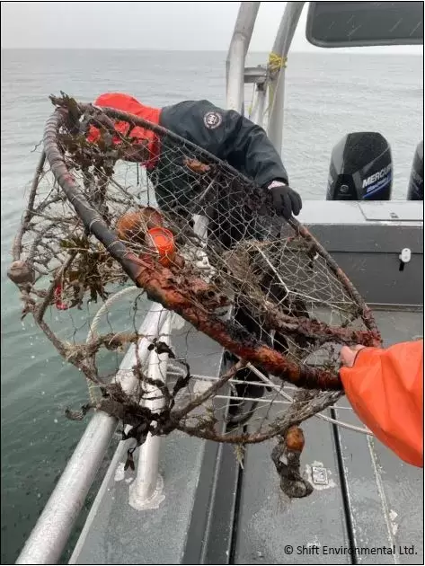 A crab trap is removed from the ocean, one of the more than 3,000 pieces of discarded fishing equipment collected in Canada since the spring of 2020. (Shift Environmental Ltd. photo)