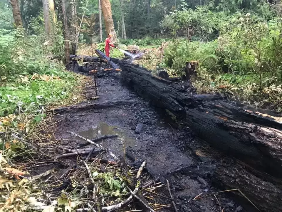 A forest fire is extinguished in Dry Creek Park on July 12.