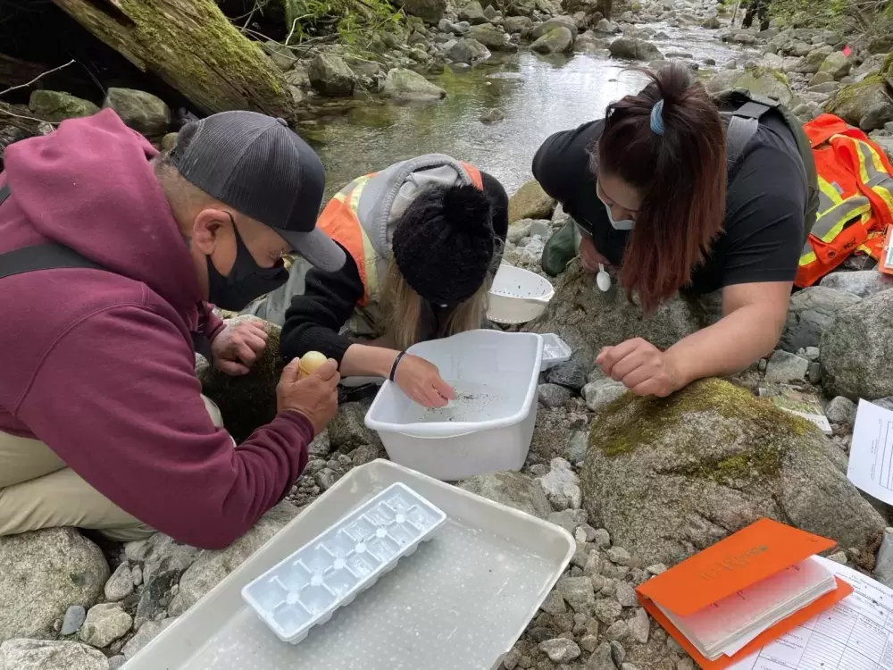 Participants engage in a 5-week technical training certification facilitated by the Central Westcoast Forest Society (CWFS) between April 19 to May 21 near Tofino. (Photo supplied by CWFS)