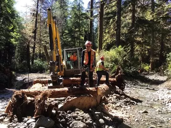 Josh Tate from Ditidaht First Nation assembles a “flow splitter” structure that will support the point where one salmon stream naturally splits into two in the Cheewaht watershed in Pacific Rim National Park Reserve. (Parks Canada photo)