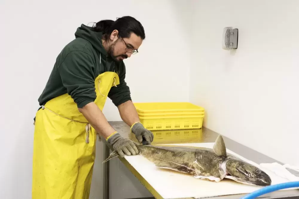 Stevie Dennis processes a halibut inside Naas Foods in Tofino, on February 2, 2022.