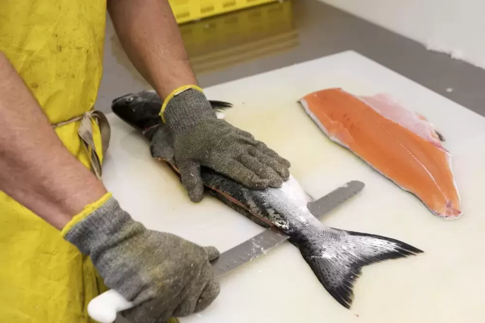 Stevie Dennis processes a salmon inside Naas Foods in Tofino, on February 2, 2022.