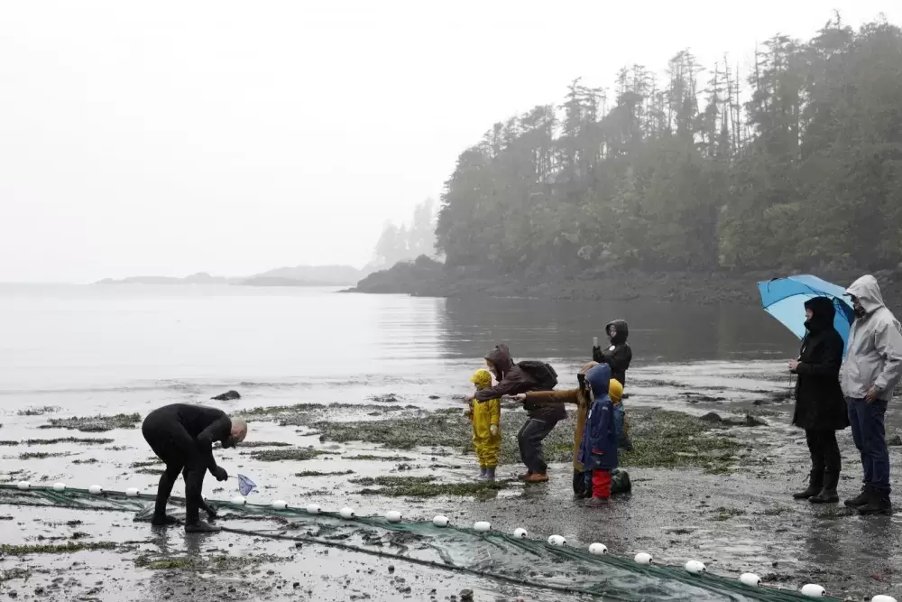Onlookers watch as Ucluelet Aquarium staff carefully recover sea creatures from a seine net on Terrace Beach as part of the Pacific Rim Whale Festival, in Ucluelet, on March 21, 2022. (Melissa Renwick photo)