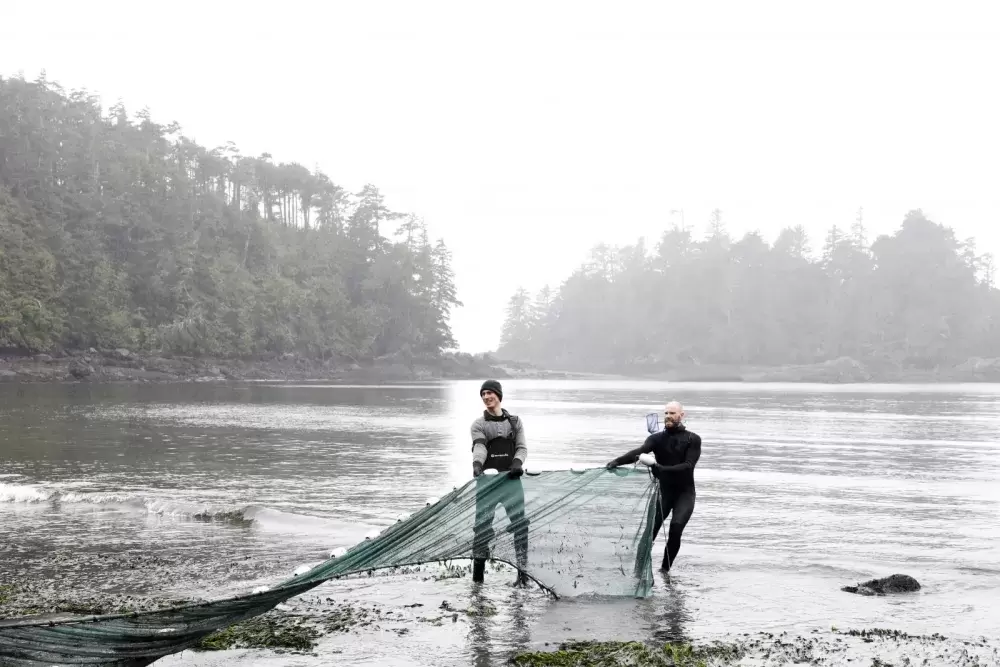 Ucluelet Aquarium staff carefully drag a seine net along the once floor in search of sea creatures for the aquarium as part of the Pacific Rim Whale Festival, on Terrace Beach, in Ucluelet, on March 21, 2022. (Melissa Renwick photo)