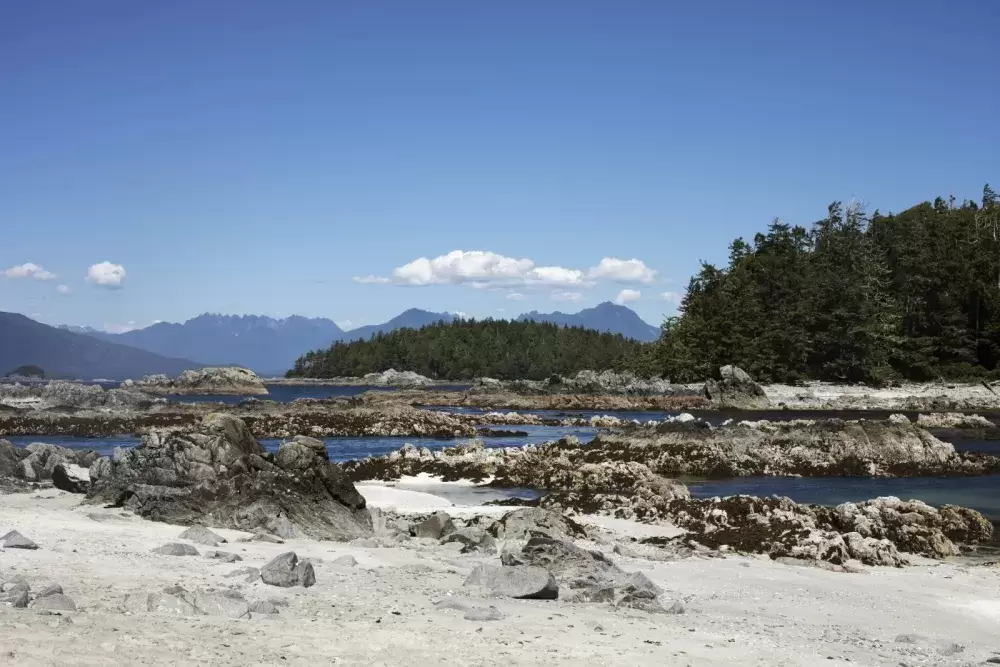 Clarke Island is an island in the Broken Group, in Barkley Sound.