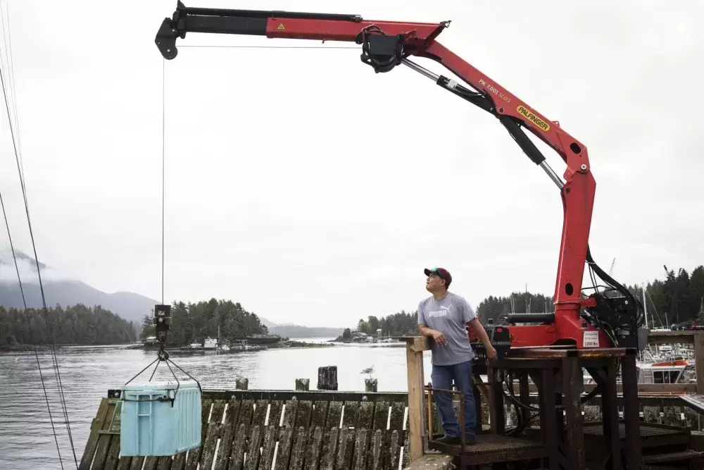 Elmer Frank uses a crane to lift his catch up to his truck near the fourth street dock in Tofino, on July 23, 2020. (Photograph by Melissa Renwick)