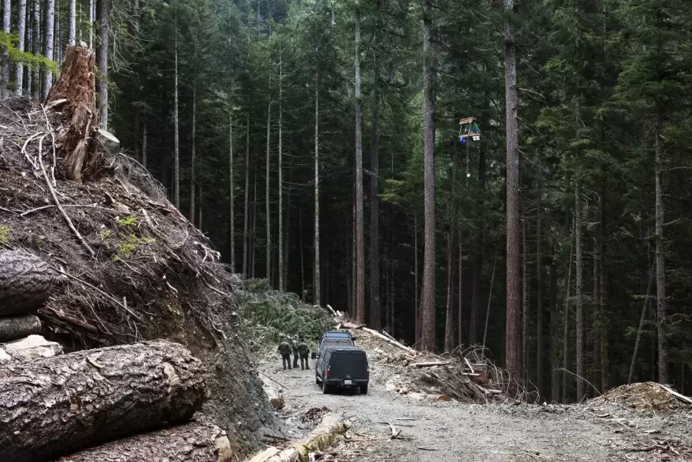 A tree-sitter, who goes by Pony, said she spent four days in a hanging structure to delay the logging of old-growth forest near the Caycuse blockade, on May 20, 2021.