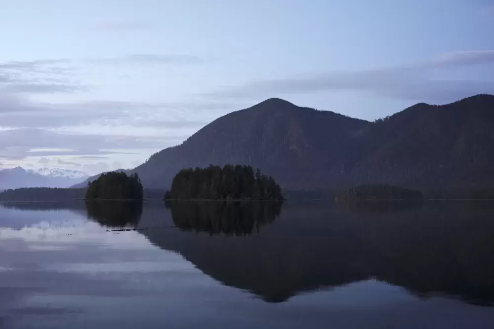 Meares Island is pictures from the Tofino mudflats, on Tuesday, April 14, 2020.