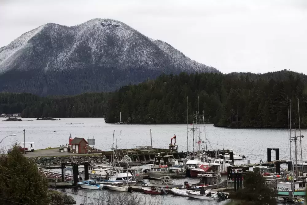 Meares Island snow. Photo by Melissa Renwick