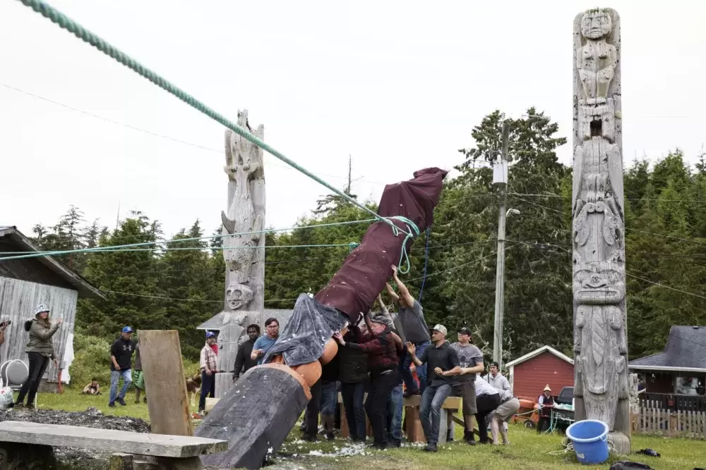 The totem pole is supported by a group of men from behind, as it is pulled up with three ropes, in Opitsaht, on Meares Island, on July 1, 2022.