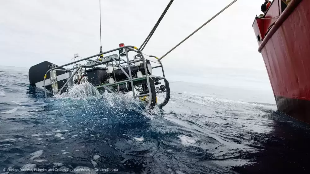 A submersible drop camera used to observe seamount life is lowered from the Coast Guard vessel John P. Tully. (DFO photo)