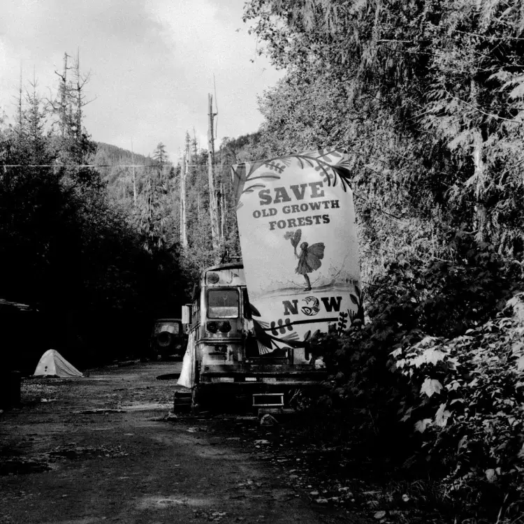 Camper vans, tents and a school bus were parked at the Eden Camp, in Gordon River Valley near Port Renfrew, on May 20, 2021.  “People have taken it upon themselves to literally stand in the way,” said Watt. “Because if the government was to follow the old -growth review panel's report, as it was laid out, there should be immediate deferrals in those most high-risk areas while you figure out the plan for the future of old-growth forests – not after the fact, because if they don't exist, you can't do anything