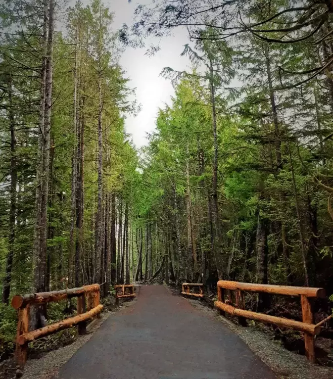 A typical stretch of ʔapsčiik t̓ašii running through coastal rainforest. (Parks Canada photo)