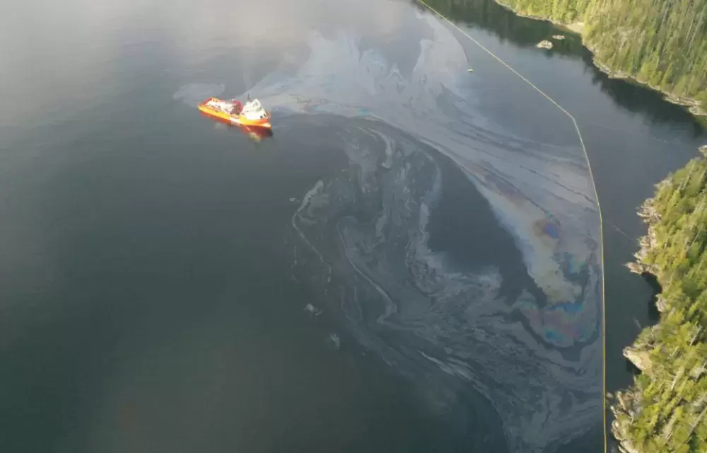 Oil containment booms protecting shoreline of Bligh Island. (Unified Command Information Site photo)