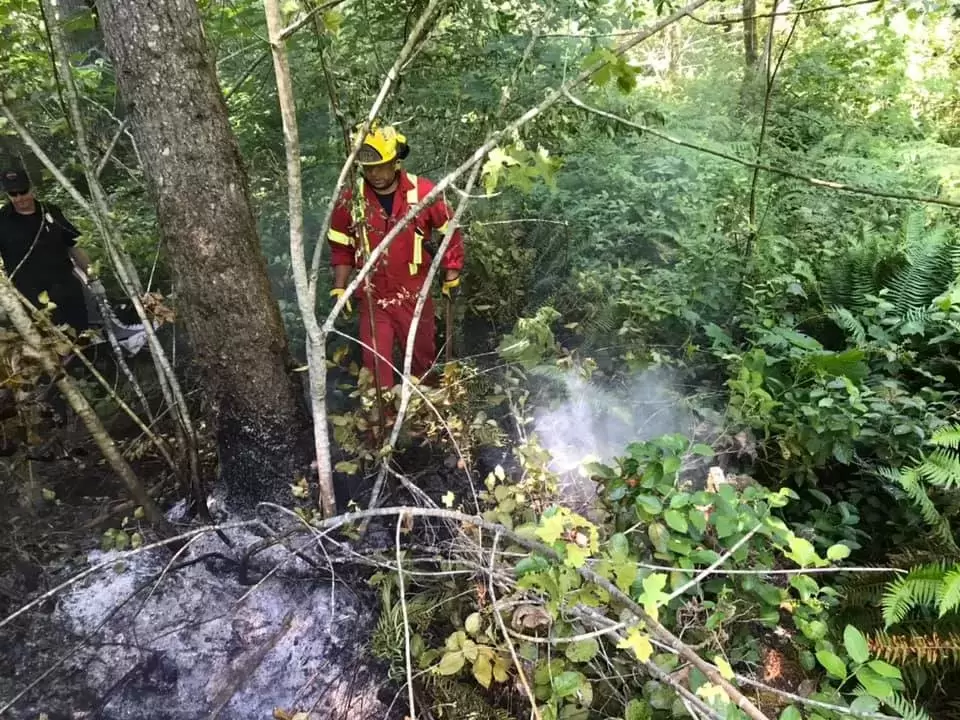 A fire is handled behind Port Alberni's No Frills grocery store on July 9.