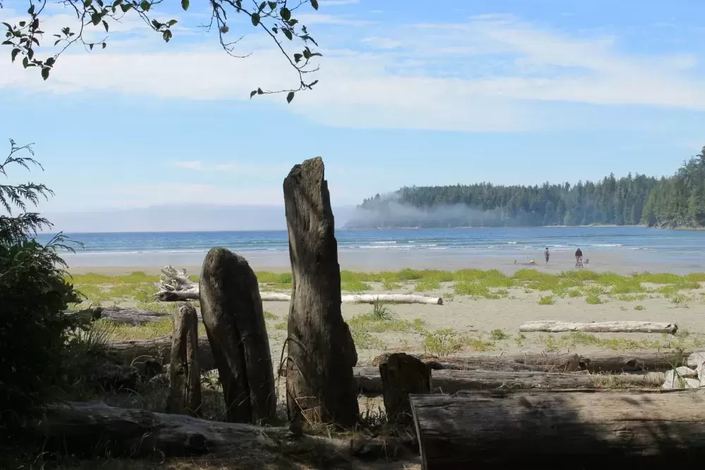 Ocean view from one of Pachena Bay's campsites.