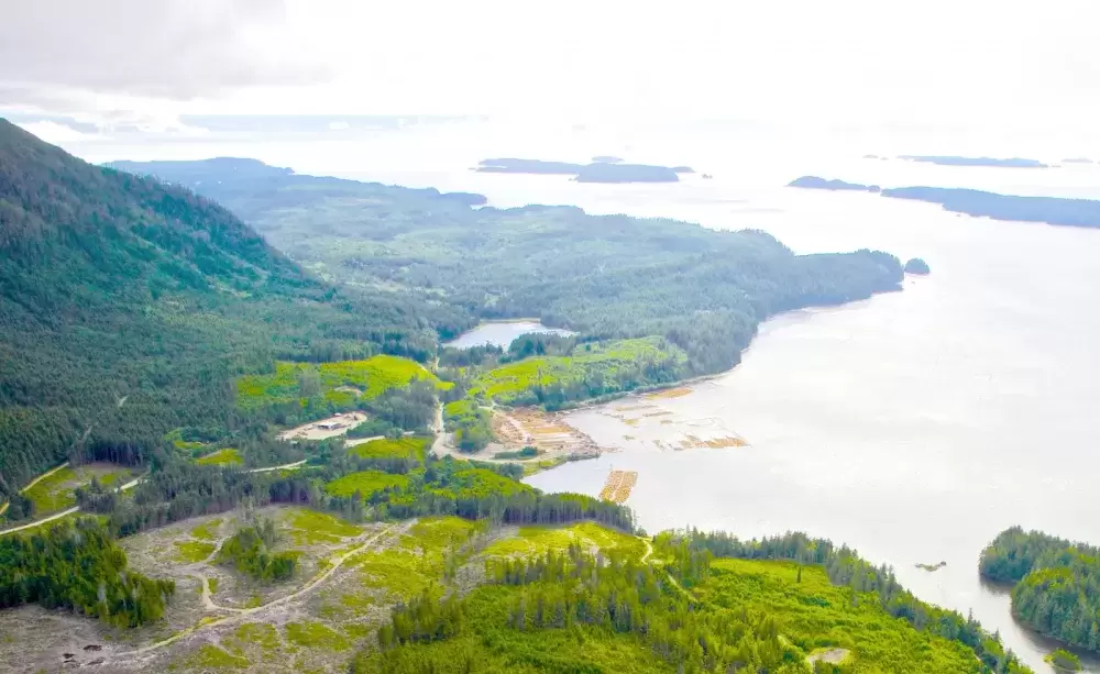 The Sarita log sort sits in Huu-ay-aht territory, property the First Nation has invested in to further its forestry interests. (Huu-ay-aht First Nations photo)