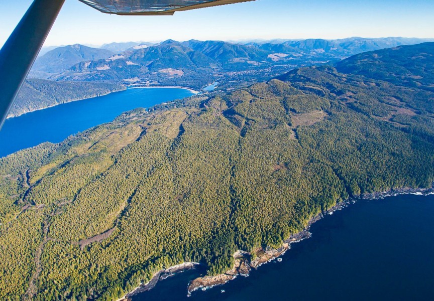 Southern Vancouver Island's forests are seen from an airplane. (Ancient Forest Alliance photo)