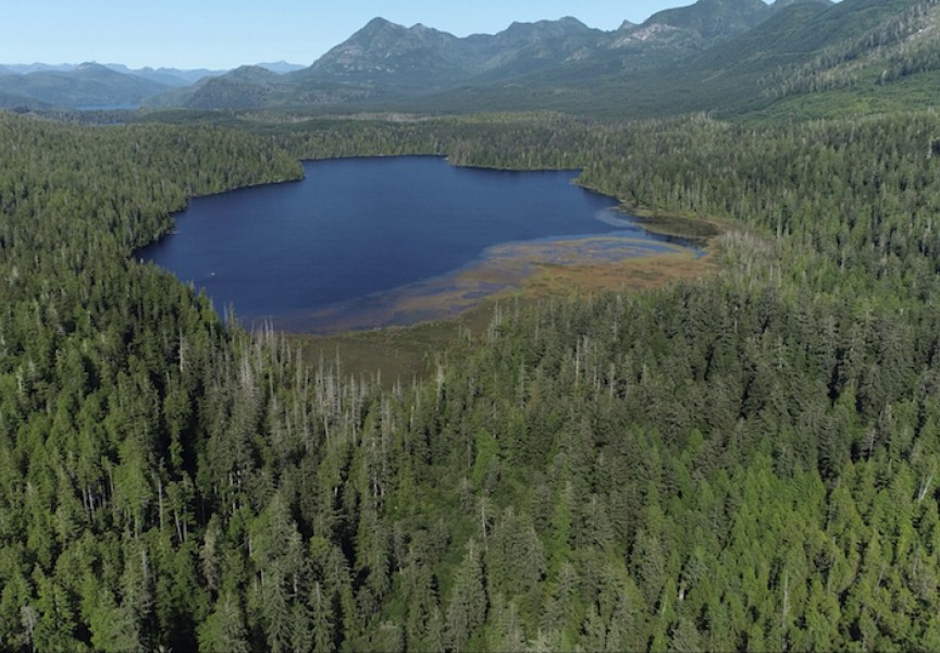 Looking north toward Cheewaht Lake. Restoration work took place on the northeastern shore of the lake. (MC Wright and Associates photo)