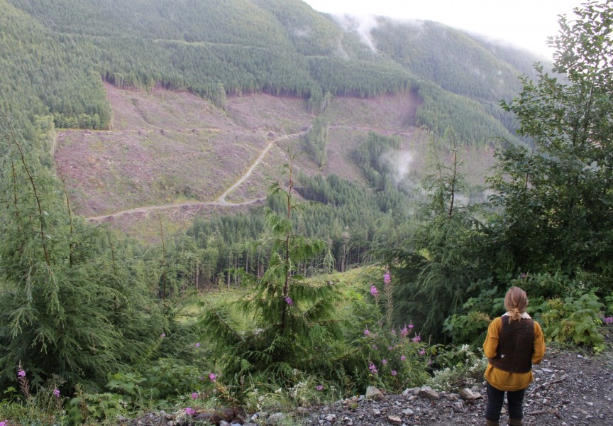 A clearcut covers a slope near the Fairy Creek valley, northeast of Port Renfrew. (Eric Plummer photo)