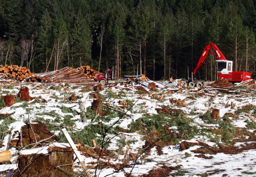 Through increased forest sector employment, Huu-ay-aht First Nations hope to attract more members back home. (Mike Youds photo)