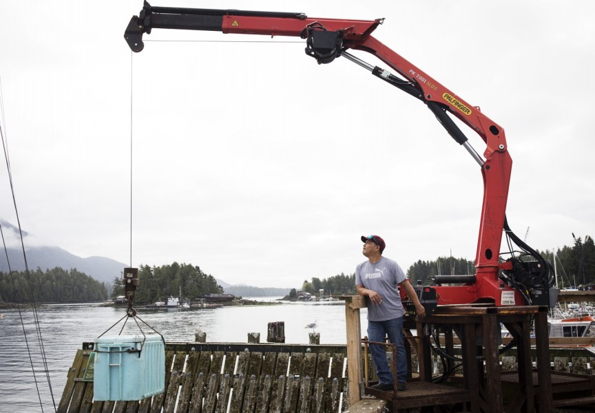 Elmer Frank uses a crane to lift his catch up to his truck near the fourth street dock in Tofino, on July 23, 2020. (Photograph by Melissa Renwick)