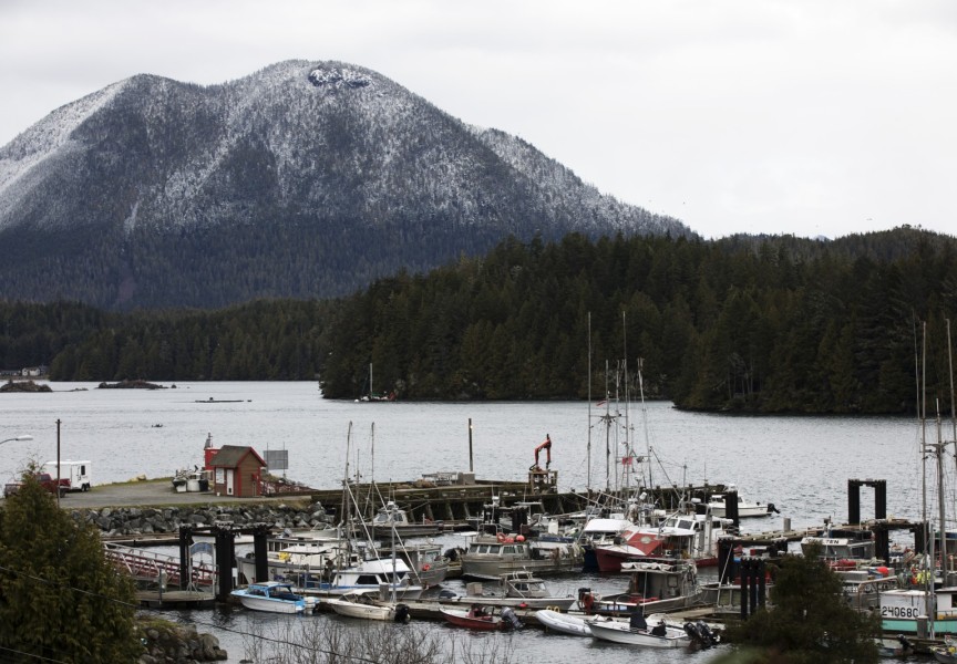 Meares Island snow. Photo by Melissa Renwick