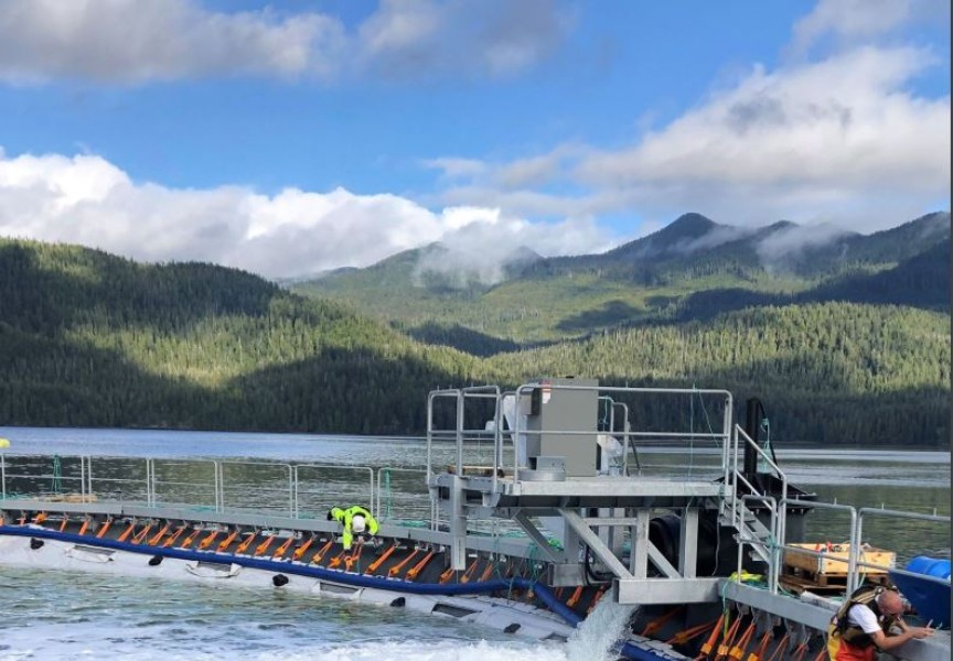 Workers tend to a semi-closed containment salmon farm in the Millar Channel, in Ahousaht territory. Cermaq introduced the system to minimize interactions between farmed and wild stocks, but had to cease the trial after a year "due to water quality issues". (BC Salmon Farmers Association photo) 