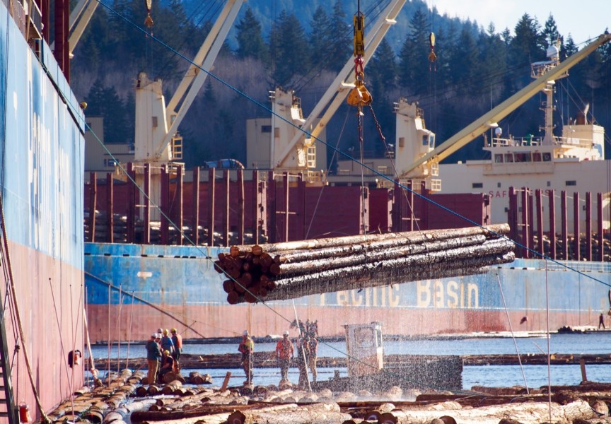 Bundled raw logs are loaded onto a barge for export in Port Alberni harbour. (Mike Youds photo)