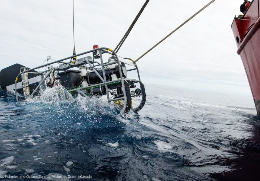 A submersible drop camera used to observe seamount life is lowered from the Coast Guard vessel John P. Tully. (DFO photo)