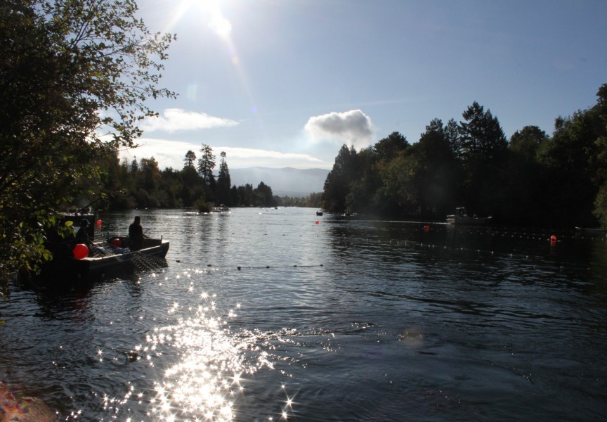 Tseshaht members fish on the Somass River during a morning in September. A new book by Charlotte Coté, who is a Tseshaht member herself, focuses on the value of harvesting foods from one's territorial waters and land. (Eric Plummer photo)