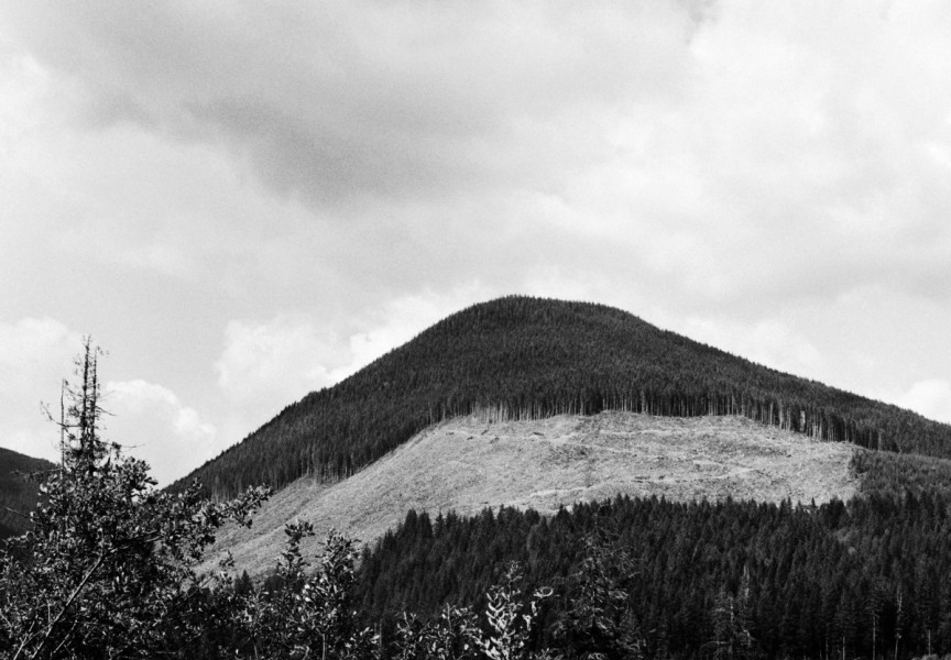 A clear-cut is visible from a logging road in the Caycuse watershed, on May 20, 2021.