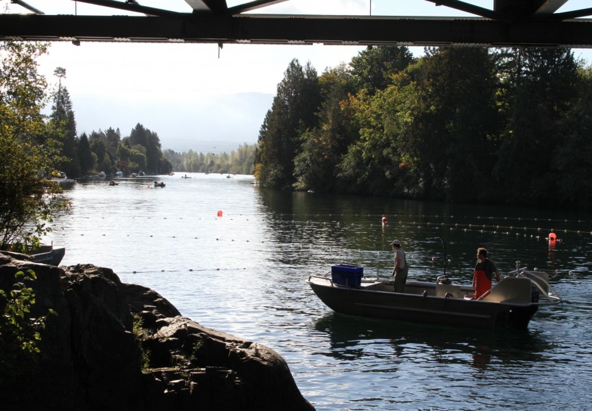 Tseshaht boats fish on the Somass River in September. The Tseshaht and Hupacasath First Nations harvested from the river this year according to an economic opportunity agreement with DFO, which totalled 32,248 chinook salmon by the end of the season. (Eric Plummer photo)