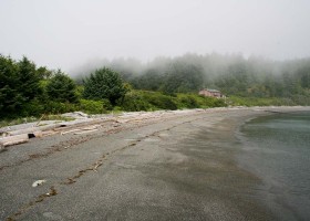 The dockside beach