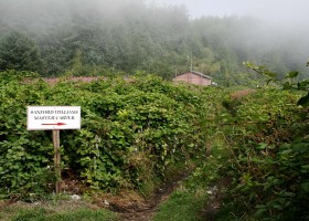 Directions to the local carver. Only one family lives in Yuquot year-round