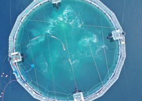 A semi-closed containment system, seen from from above, is currently being tested in Ahousaht waters. (Sam Chen/Cermaq photo)