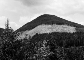 A clear-cut is visible from a logging road in the Caycuse watershed, on May 20, 2021.